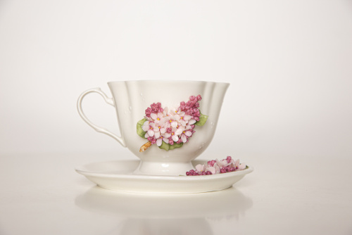 480A9259